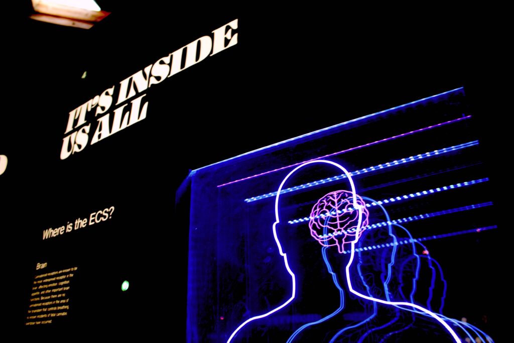 the text "it's inside us all" and a projection of a human and a brain in purple.
