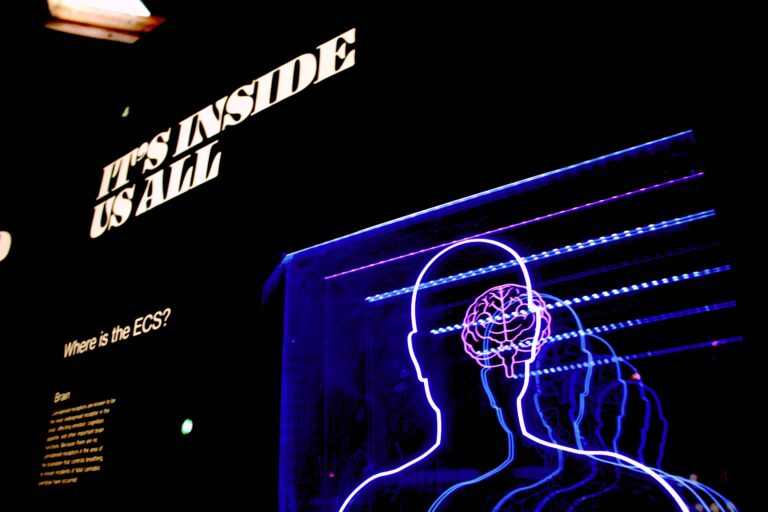 the text "it's inside us all" and a projection of a human and a brain in purple.